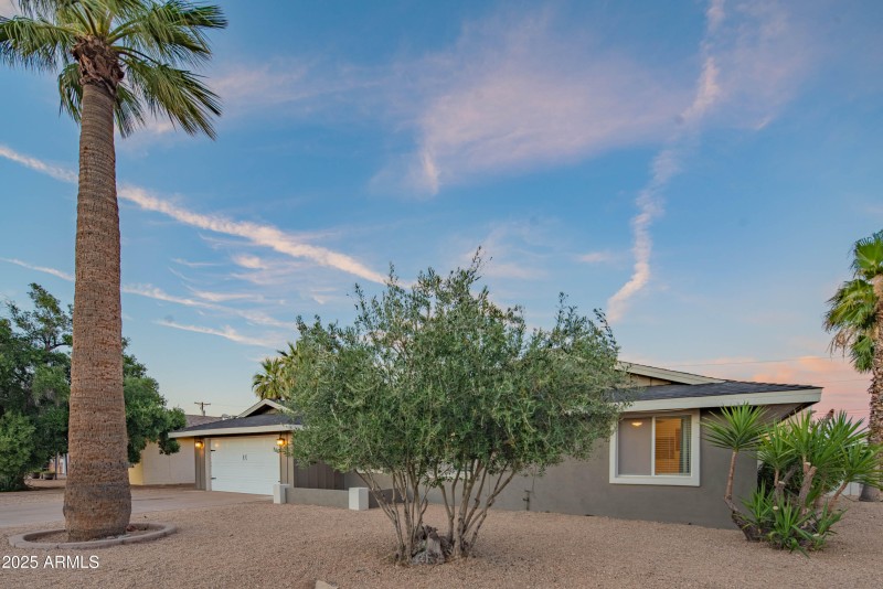 craigrootimaging_70-54