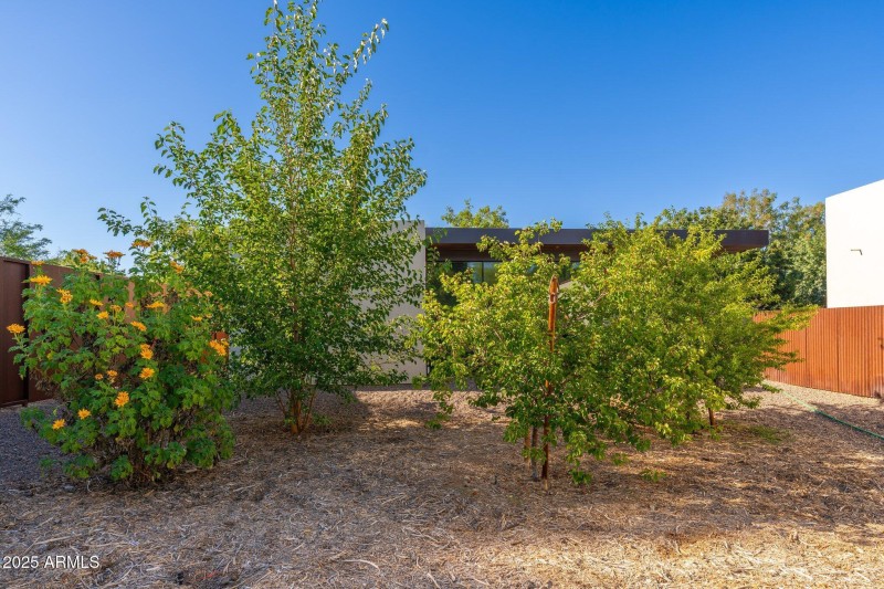 Stone Fruit Grove!