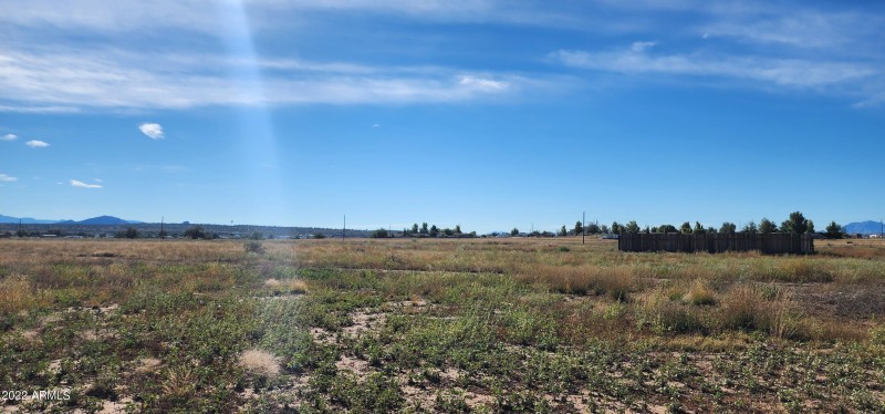 Panoramic View 6