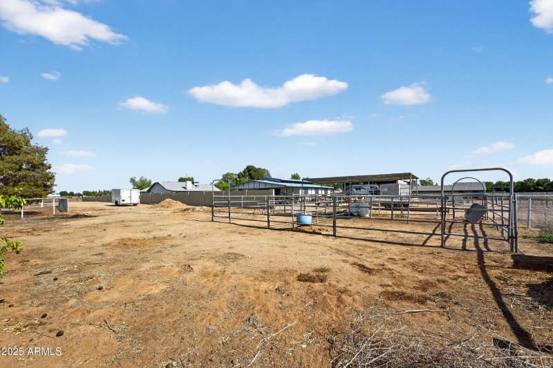 Horse Area