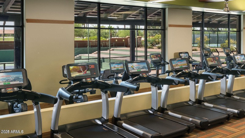 fitness