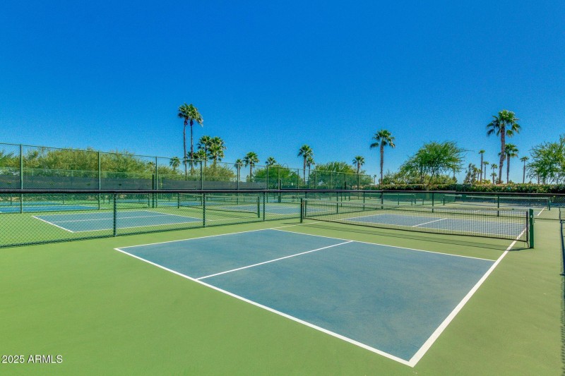 Robson Pickleball