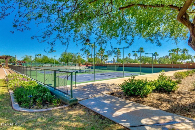 Robson Tennis