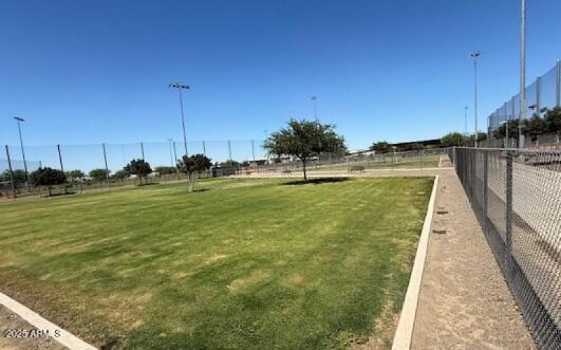 Em Dog Park 5608