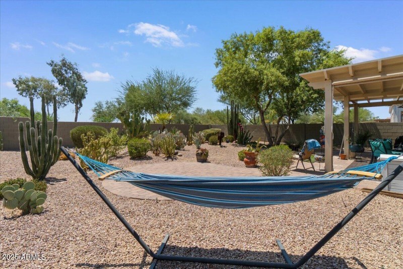 29-Back yard