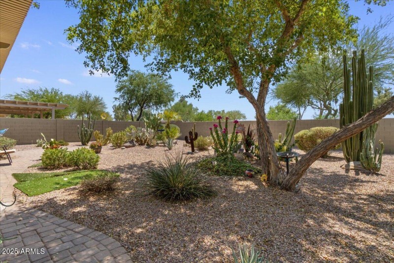 34-Back yard