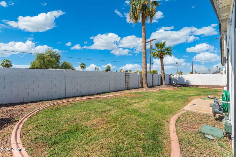 Backyard