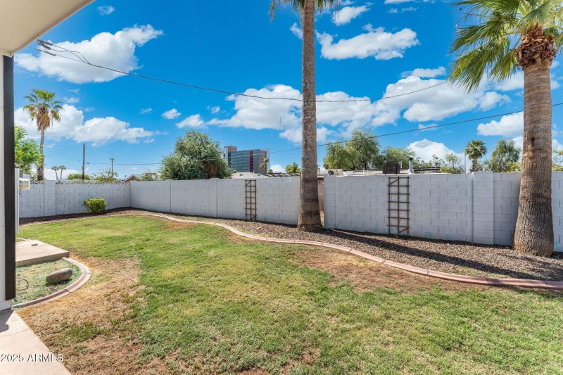 Backyard