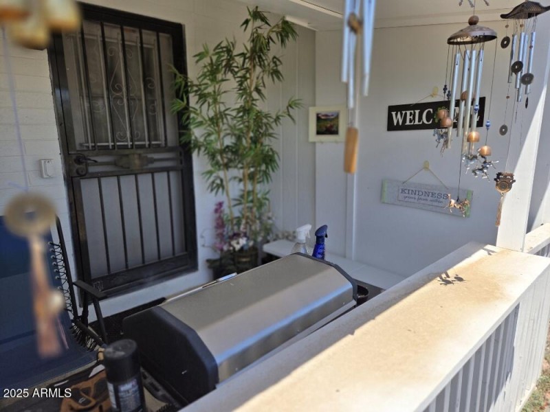 20250808_115204_resized