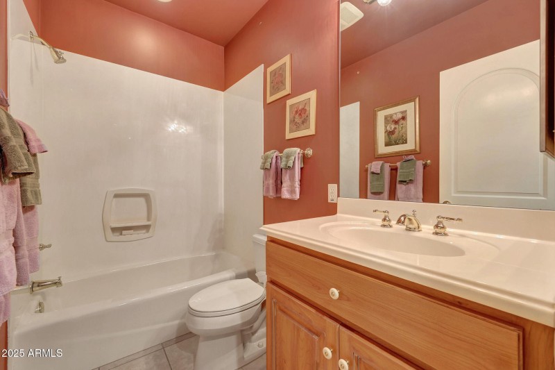 Guest Bathroom Basement