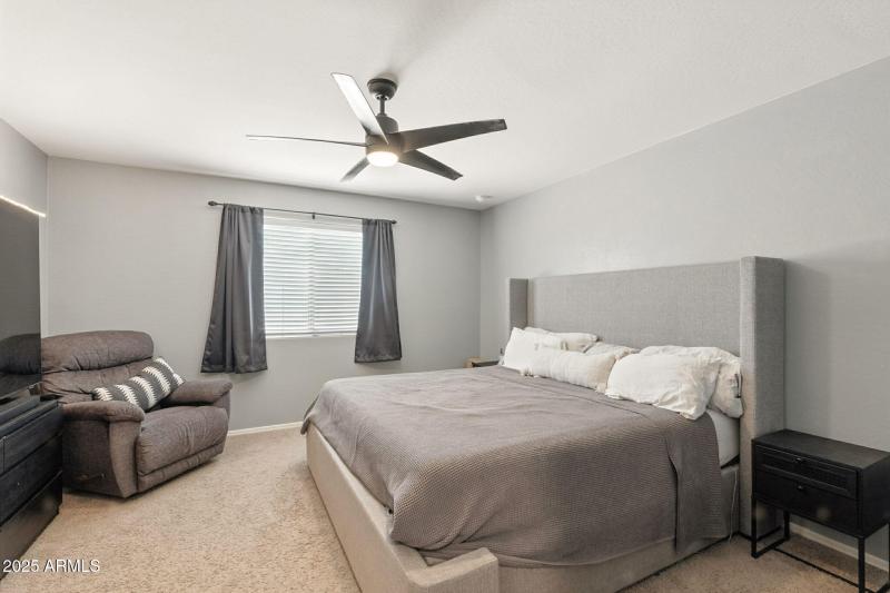 19-web-or-mls-Aster-19