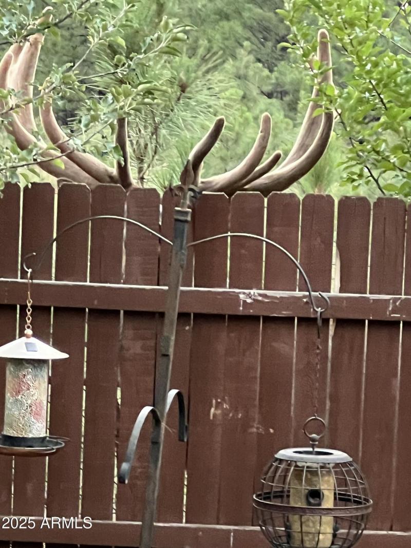 10 Point Buck