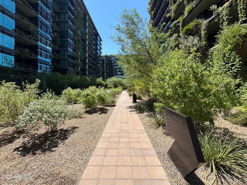 Common Space