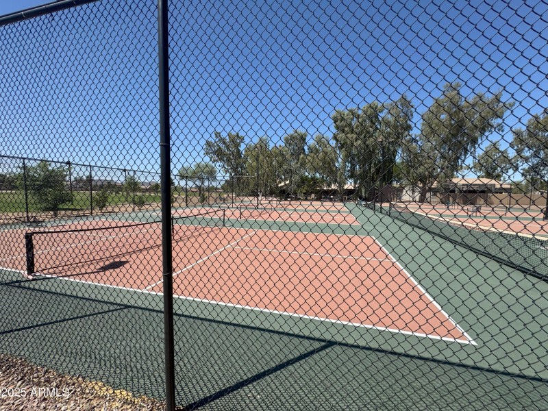 Tennis/Pickleball