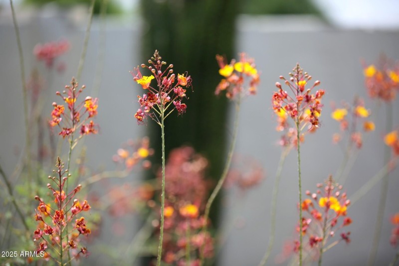 thumbnail_Lisbon Drive (9)