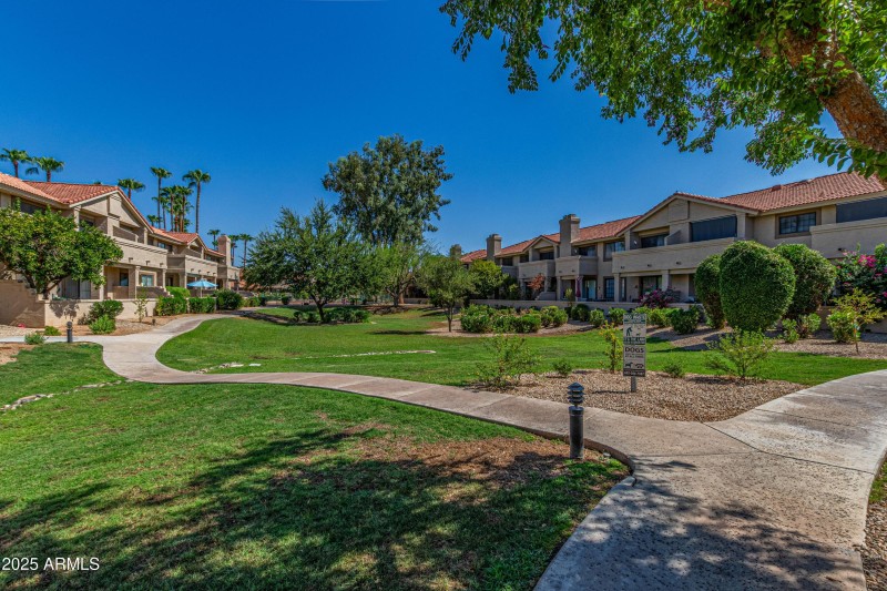 Mature Landscaping