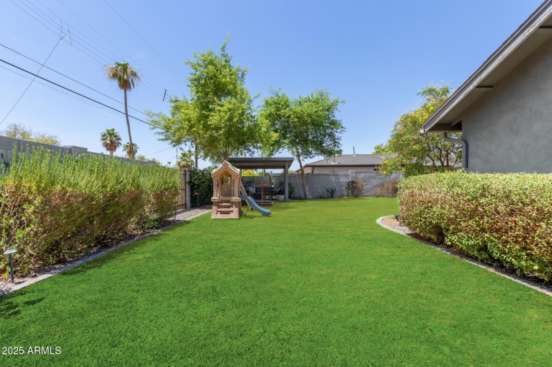 Great Backyard