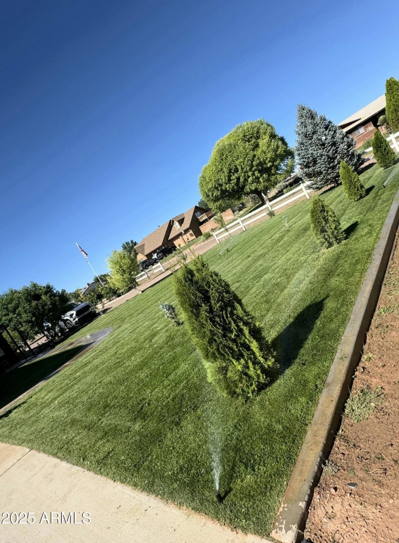 Green Carpet