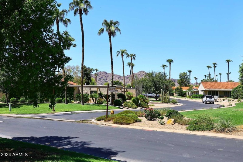 Backyard-Mountain View