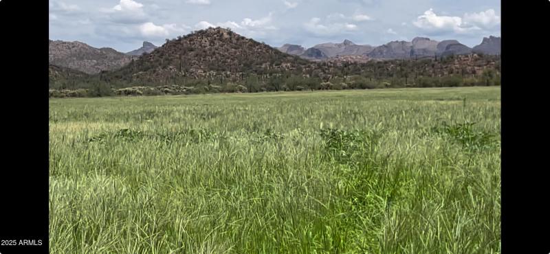 Screenshot 2025-08-09 at 2.48.35PM