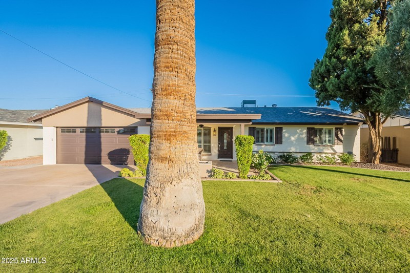 3-web-or-mls-Cypress-3