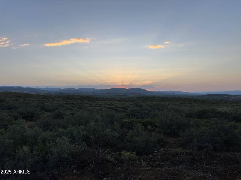 20240727_064321_IMG_3767