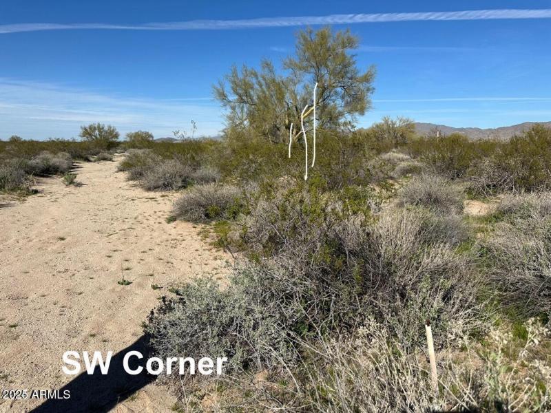 SW Corner