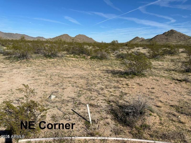 NE Corner