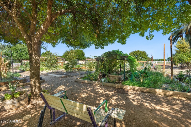 3102 East Agritopia Loop N-44