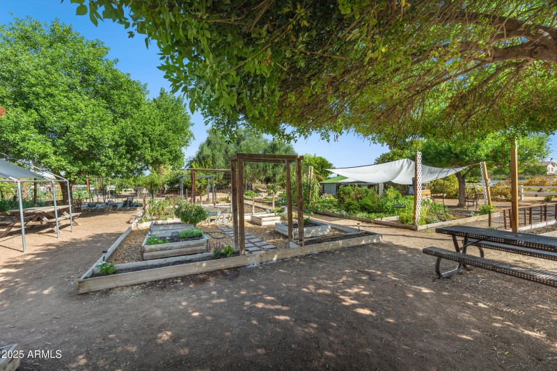 3102 East Agritopia Loop N-45