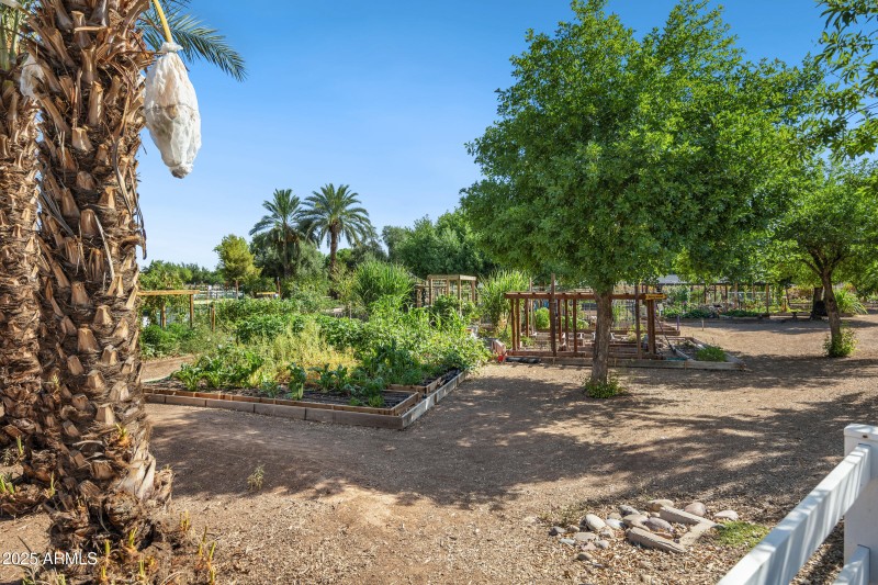 3102 East Agritopia Loop N-46