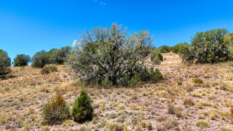 33-Lot Photo D3 (2)