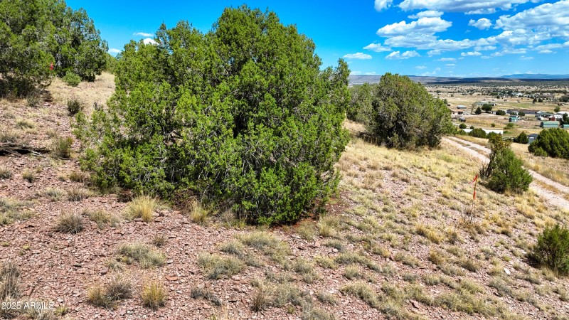 35-Lot Photo D3 (4)