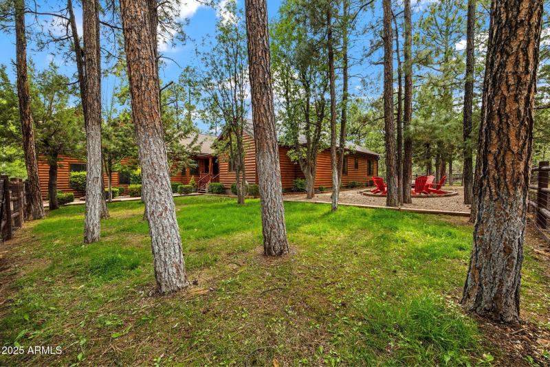 Nestled among the trees!