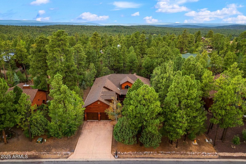 Beautiful wood views