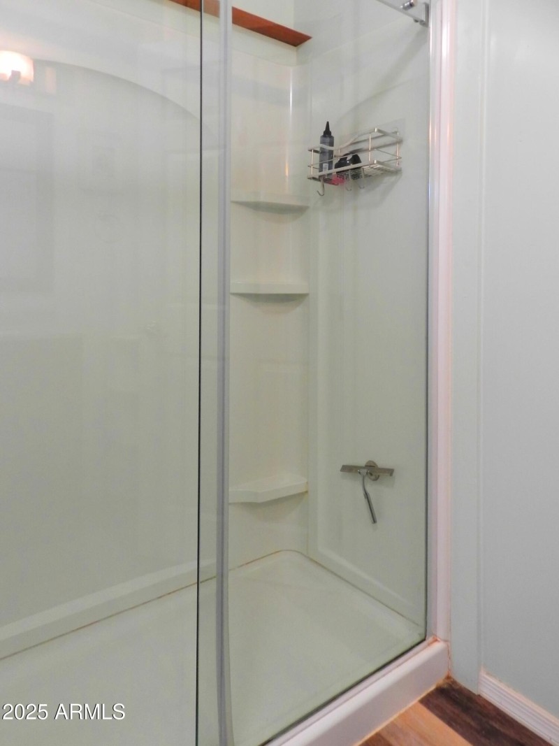 Master Shower