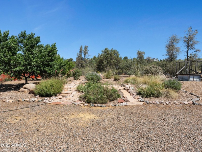 031_Back yard