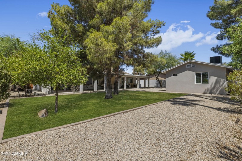 Backyard