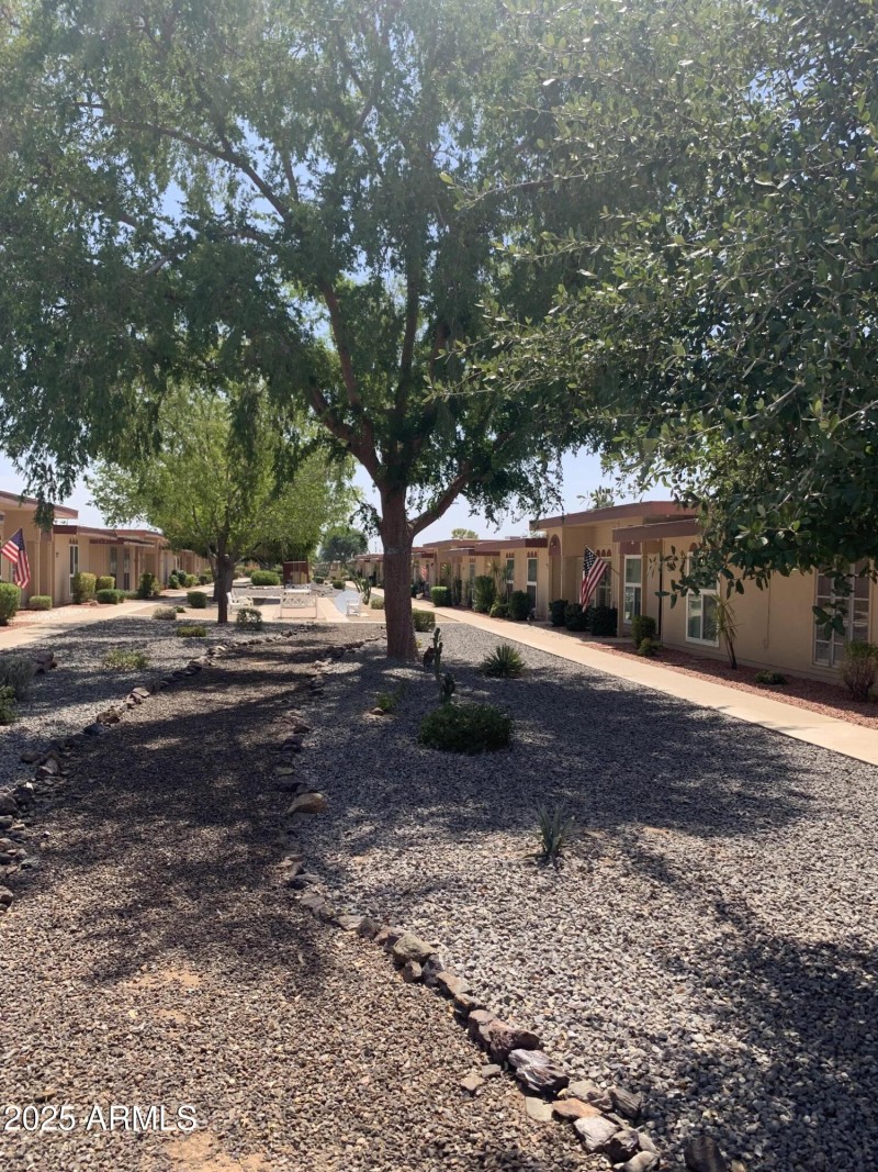 Tree Lined Courtyard