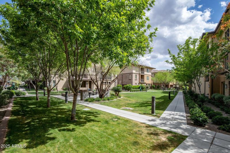 30-web-or-mls-_TMR1958