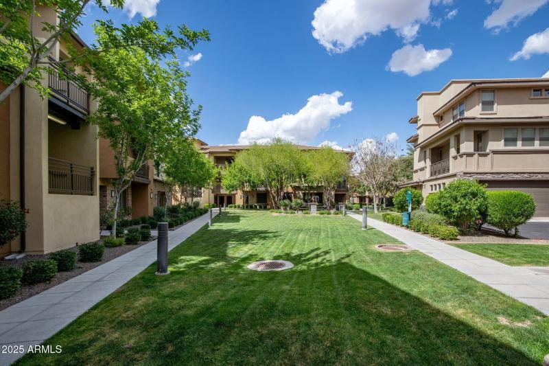 33-web-or-mls-_TMR1985