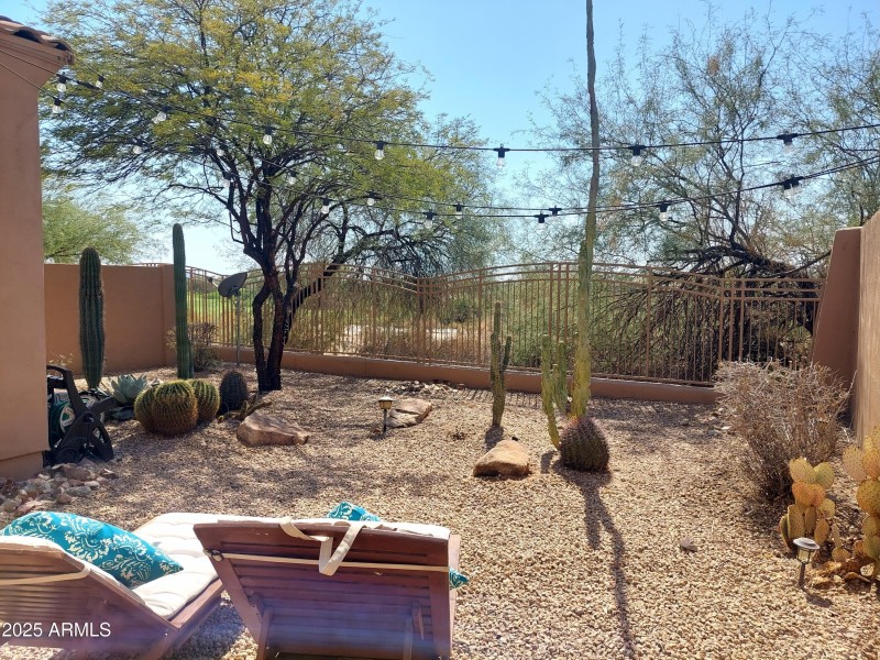 1026 backyard 2
