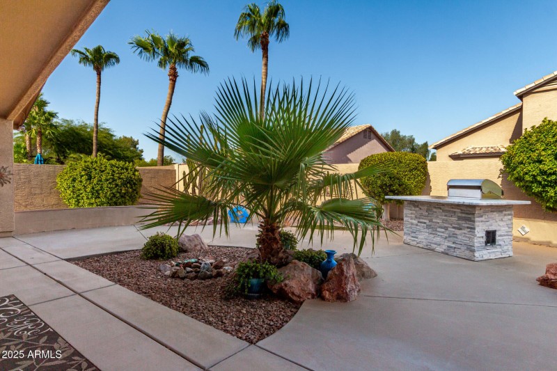Backyard with natural gas grill