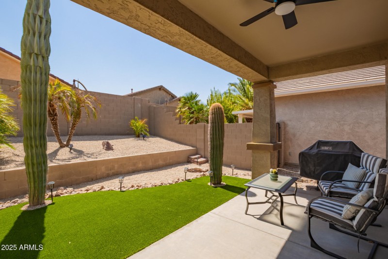 Backyard