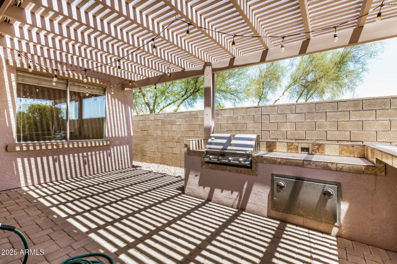 39 - Desert Honeysuckle