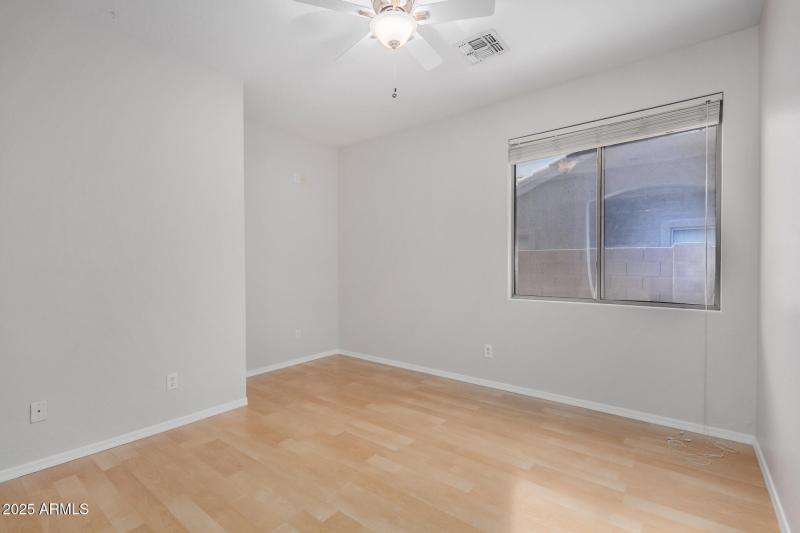 31 - Desert Honeysuckle