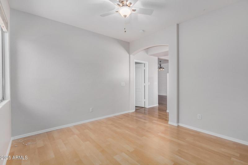 32 - Desert Honeysuckle