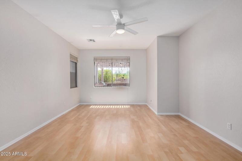 23 - Desert Honeysuckle