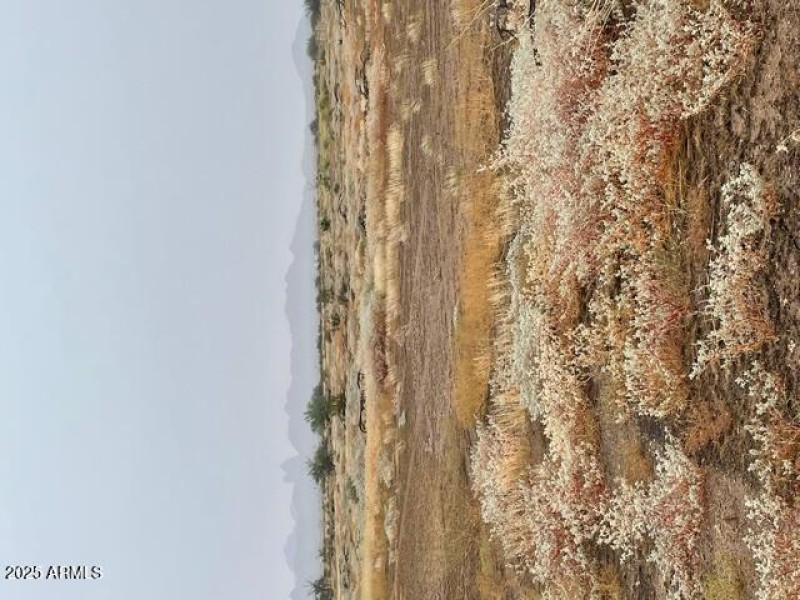 Lot 181 Land View