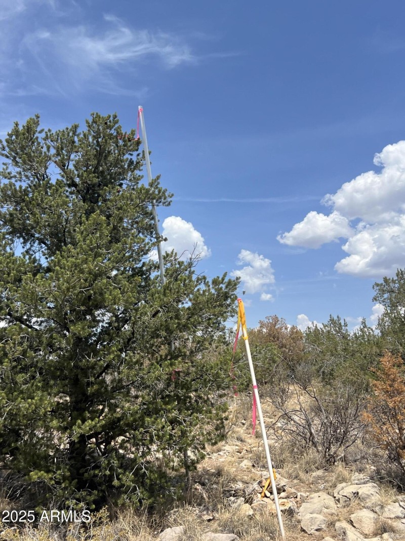TOP OF HILL